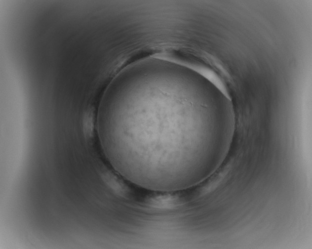 X0000114530065200910191330