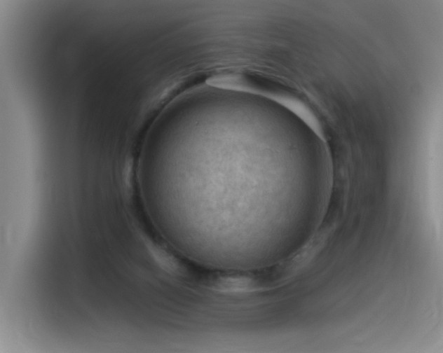 X0000114530066200910191330