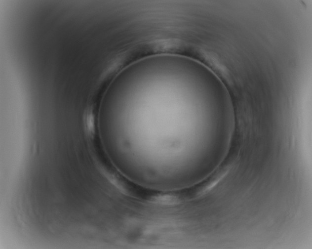 X0000114530067200910191330