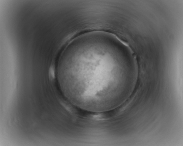 X0000114530068200910191330