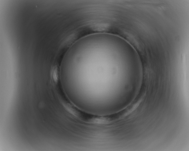 X0000114530069200910191330