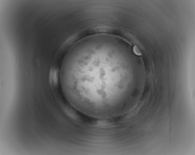 X0000114530070200910191330