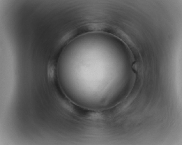X0000114530071200910191330