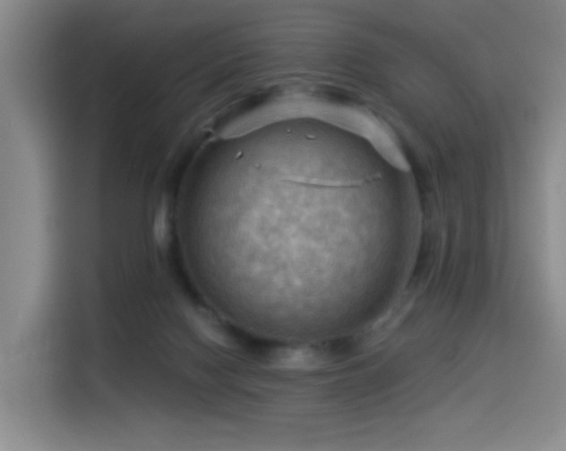 X0000114530074200910191330