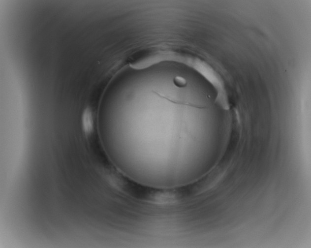 X0000114530075200910191330