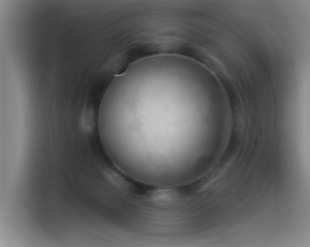 X0000114530077200910191330
