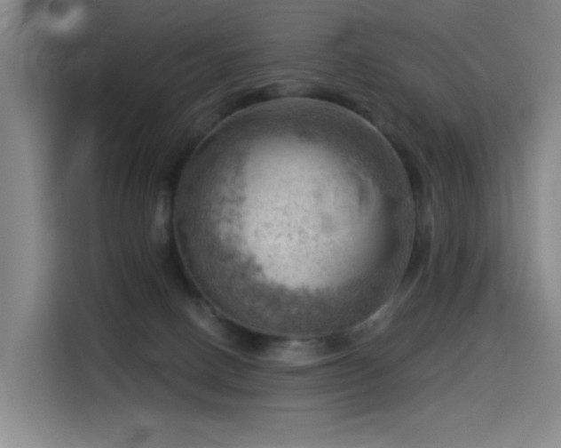 X0000114530082200910191330