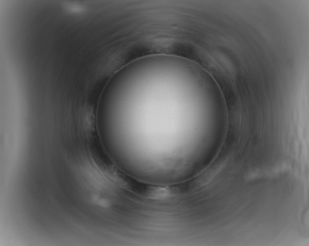X0000114530083200910191330