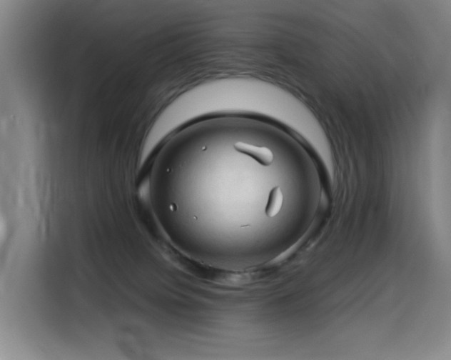 X0000114530084200910191330