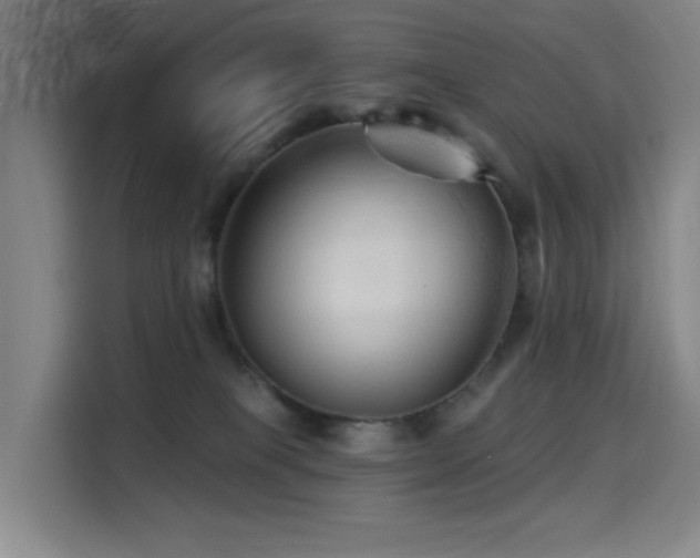 X0000114530085200910191330