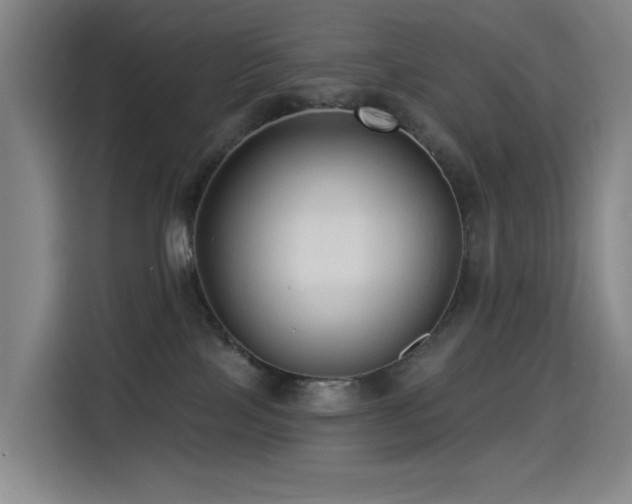 X0000114530089200910191330
