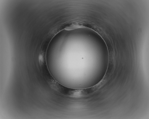 X0000114530090200910191330