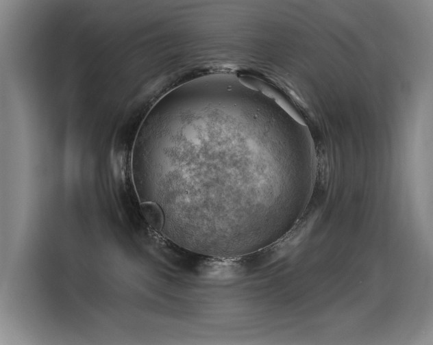 X0000114530093200910191330