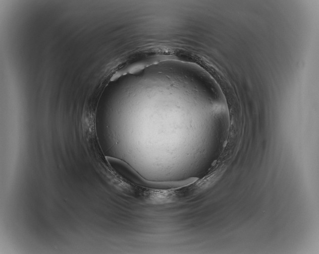 X0000114530096200910191330