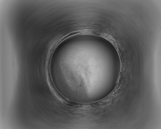 X0000114530097200910191330