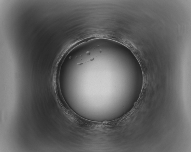 X0000114530098200910191330