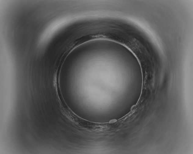 X0000114530099200910191330
