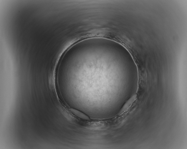 X0000114530100200910191330