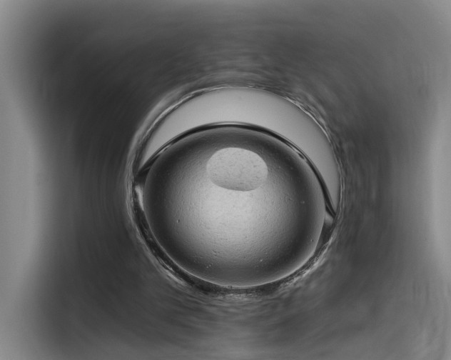 X0000114530101200910191330