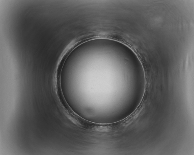 X0000114530102200910191330