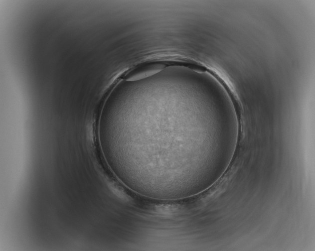 X0000114530105200910191330