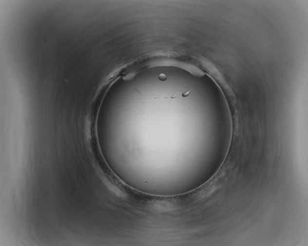 X0000114530106200910191330