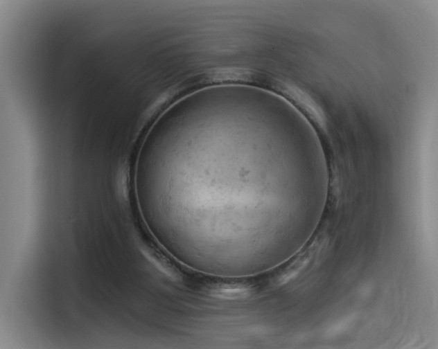 X0000114530107200910191330