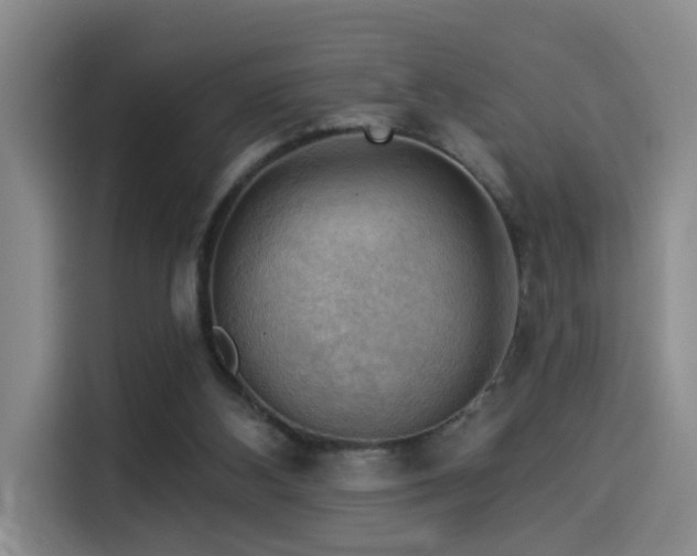 X0000114530108200910191330