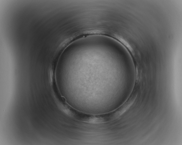 X0000114530109200910191330