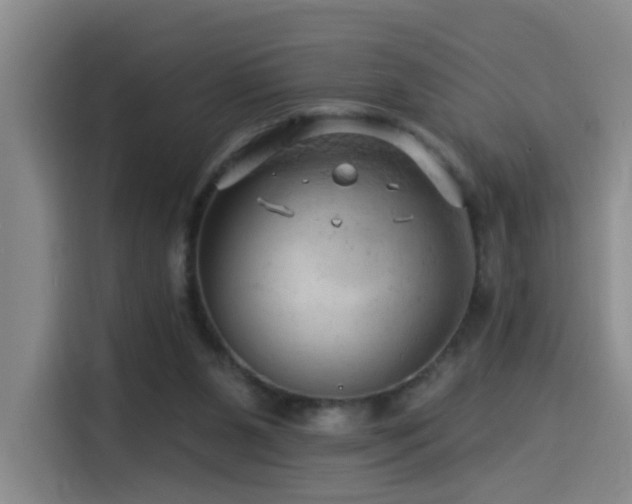 X0000114530111200910191330