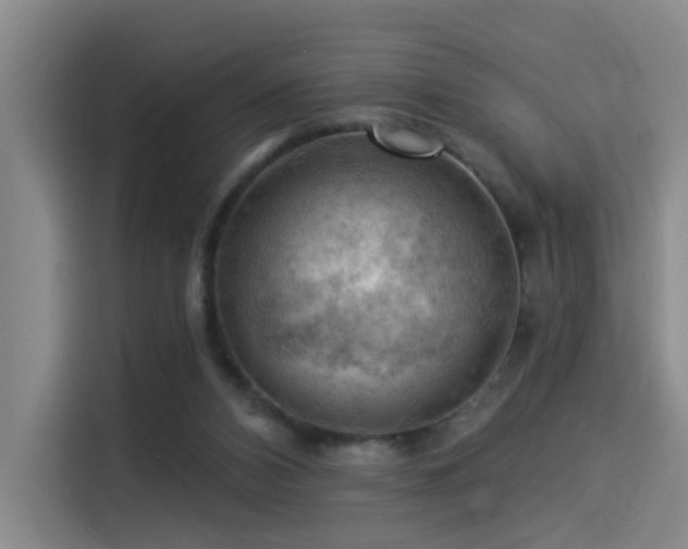 X0000114530112200910191330