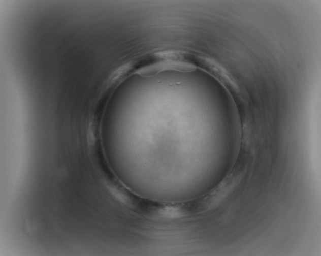 X0000114530114200910191330