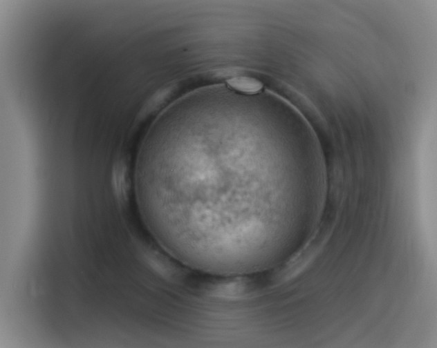 X0000114530116200910191329