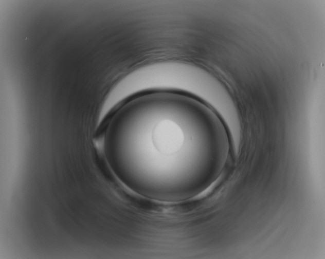 X0000114530117200910191329