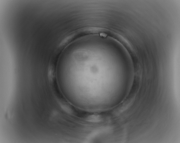 X0000114530119200910191329