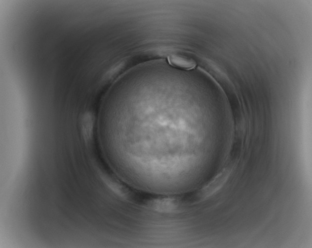 X0000114530120200910191329