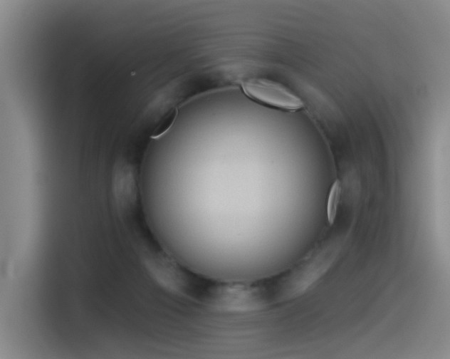 X0000114530121200910191329