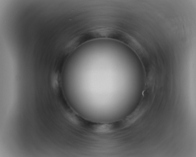 X0000114530122200910191329