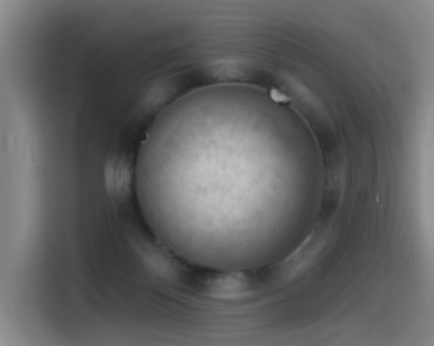 X0000114530124200910191329