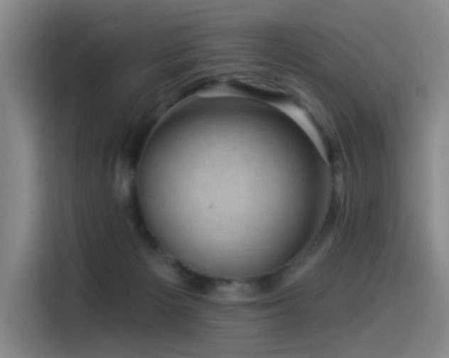 X0000114530125200910191329
