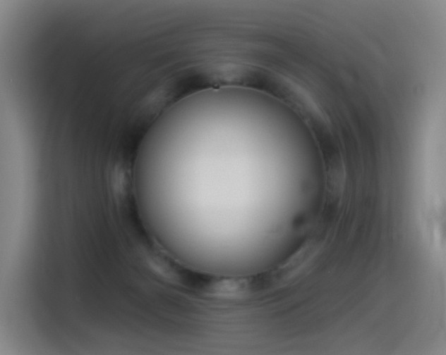 X0000114530126200910191329