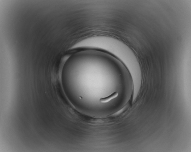 X0000114530129200910191329