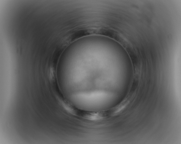 X0000114530130200910191329