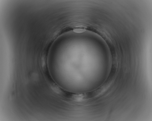 X0000114530131200910191329