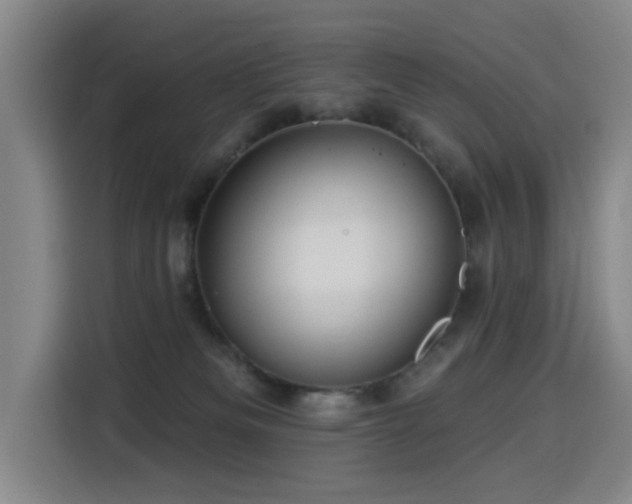 X0000114530133200910191329
