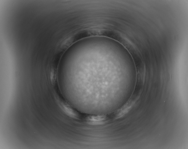 X0000114530134200910191329