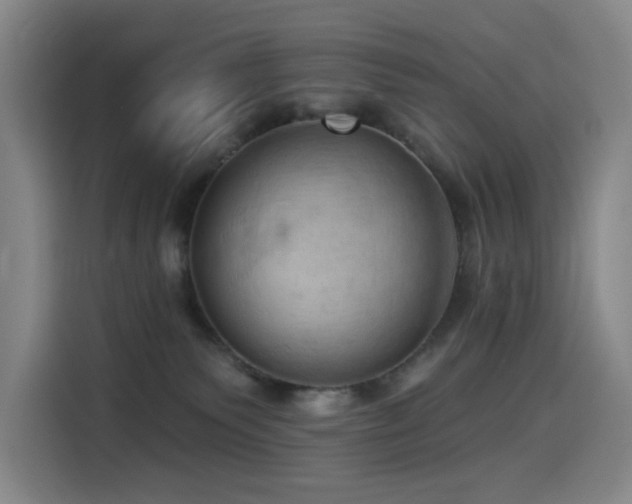 X0000114530135200910191329