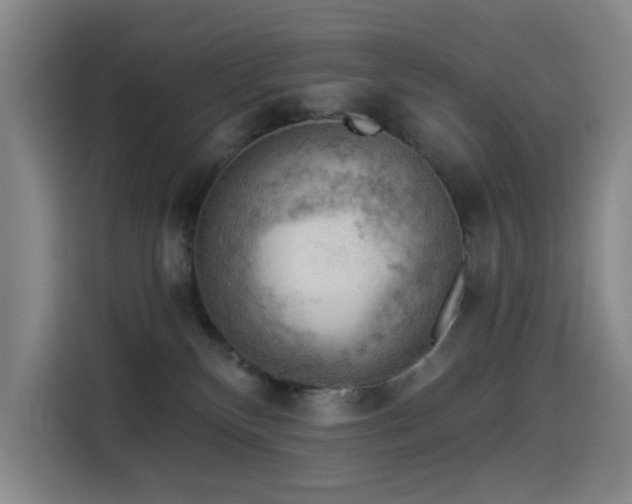 X0000114530136200910191329