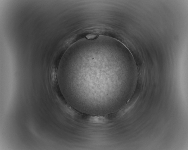 X0000114530137200910191329