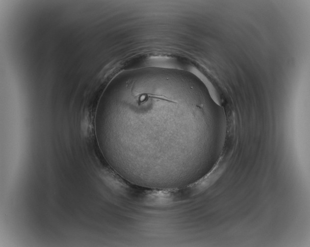 X0000114530140200910191329